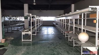 制造業升級與軟件開發融合 鄭州電子廠自動化與揚州軟件開發的協同發展