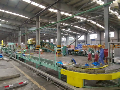 一線調研 四川美豐產品線滿負荷運轉，加速構建六大產業協同發展新格局